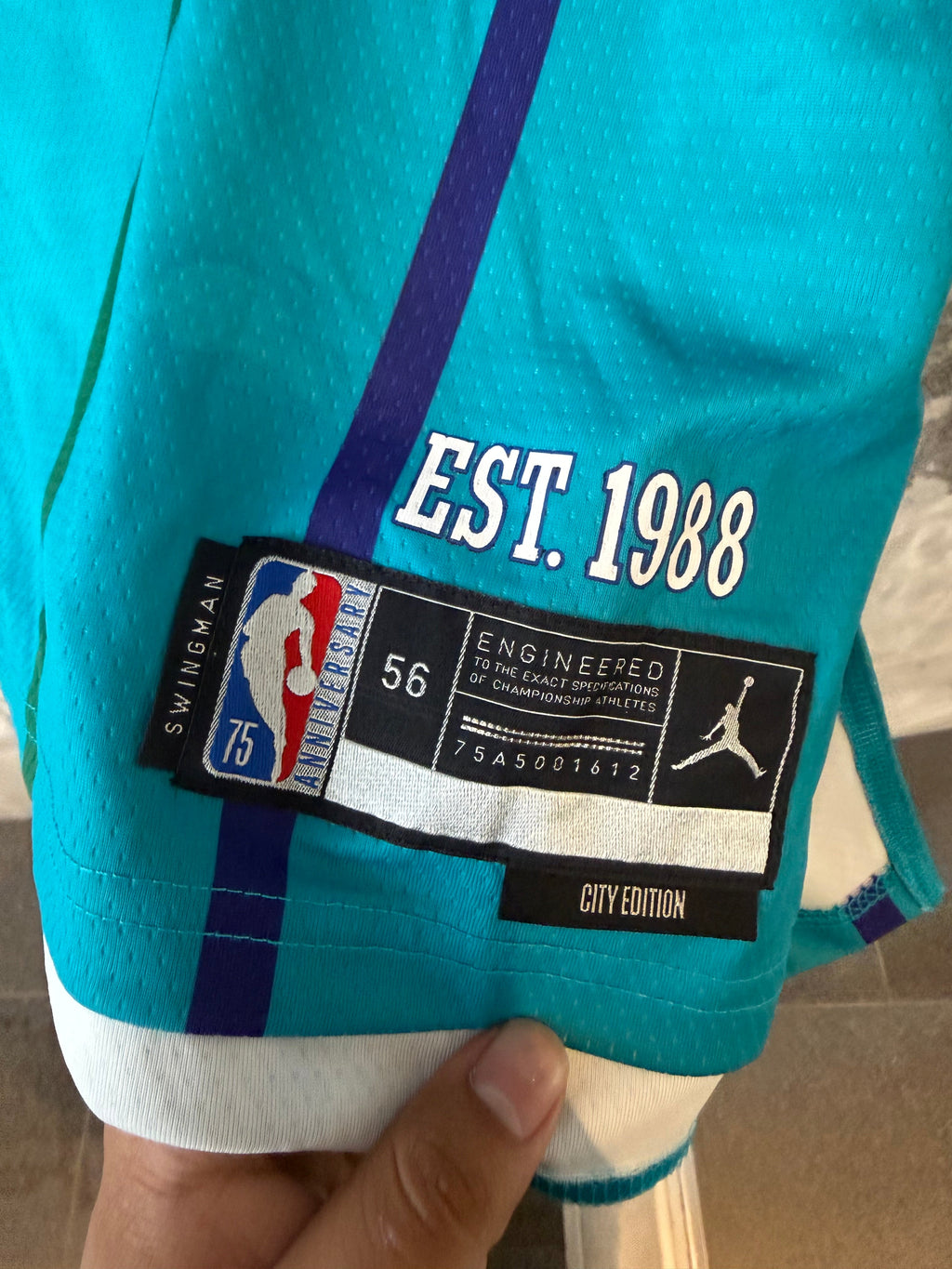 Jordan Brand Charlotte Hornets LaMelo Ball City Edition product image 4