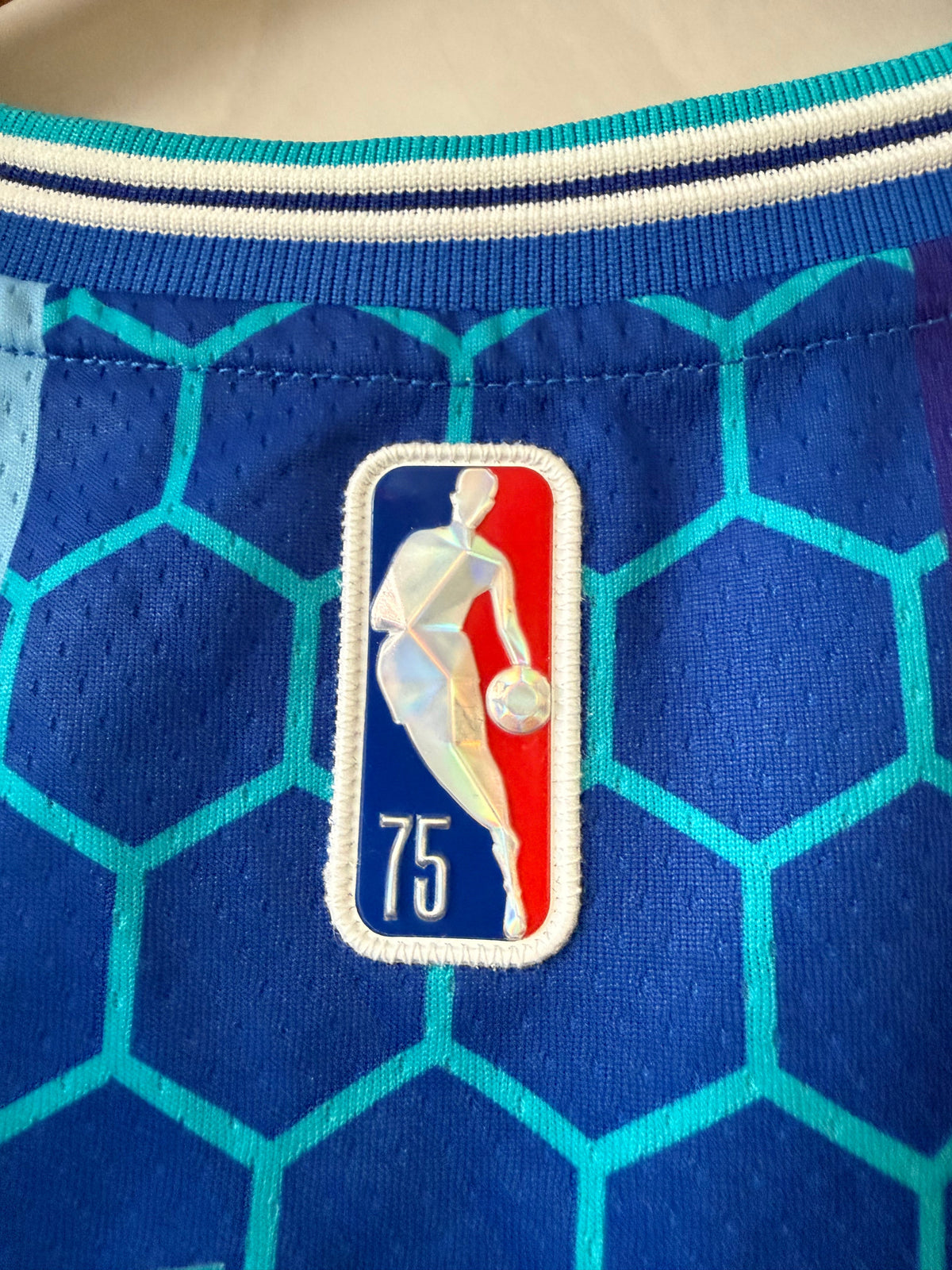 Jordan Brand Charlotte Hornets LaMelo Ball City Edition product image 6