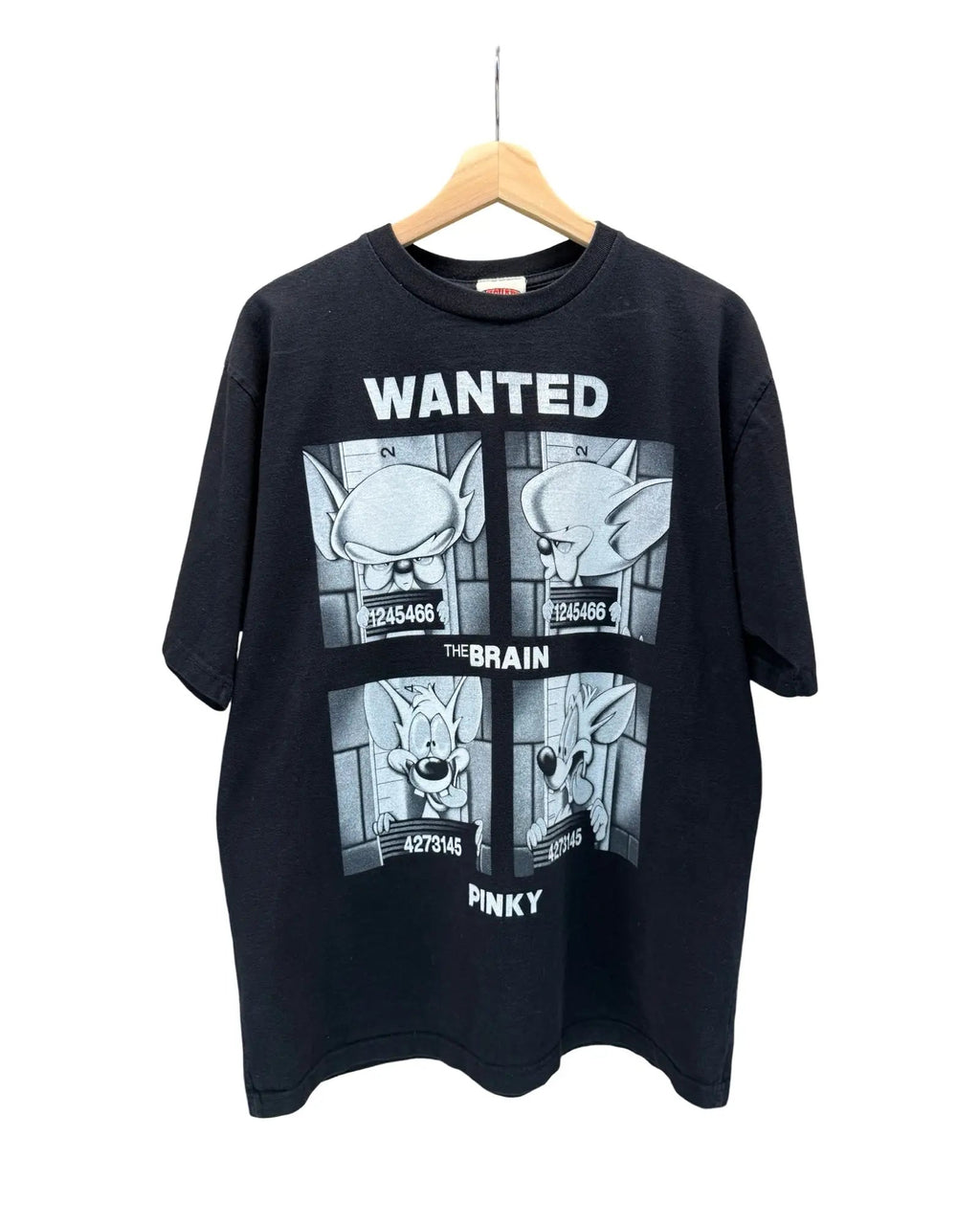 Vintage 90s Pinky & The Brain Prisoners Tee product image 1