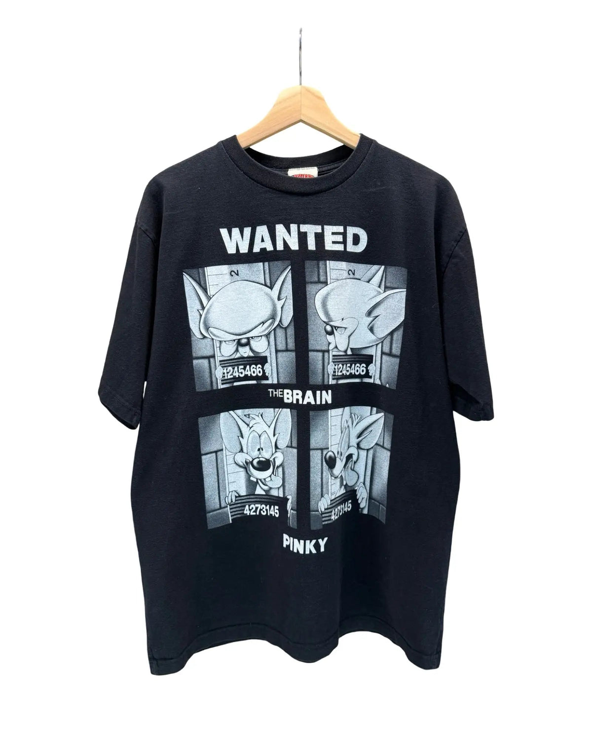 Vintage 90s Pinky & The Brain Prisoners Tee product image 1