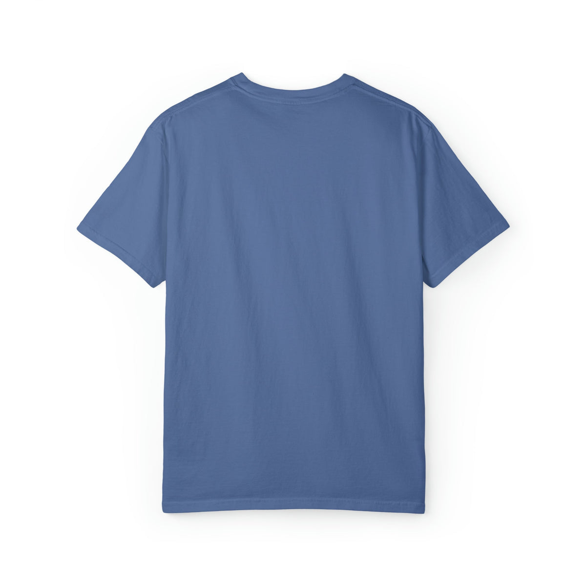 Choose Any Design | Comfort Colors Tee product image 19