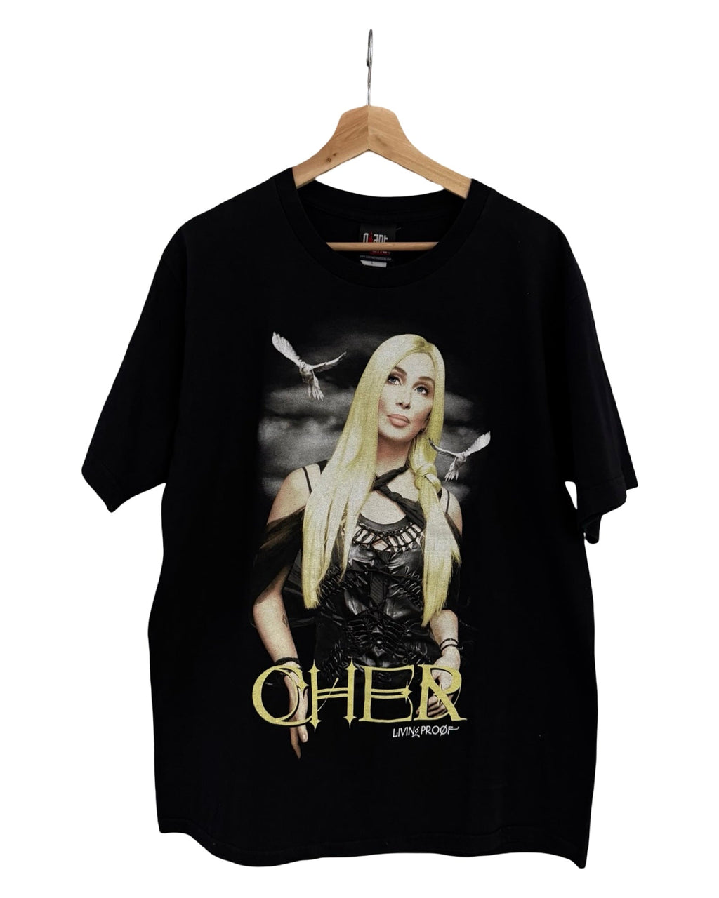 Vintage 2004 Cher Living Proof Tour Tee product image 1