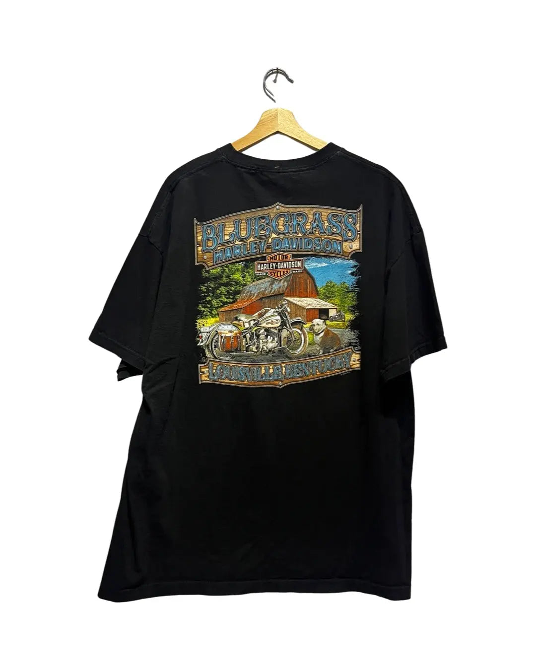 Vintage Harley Davidson Blue Grass Tee product image 2
