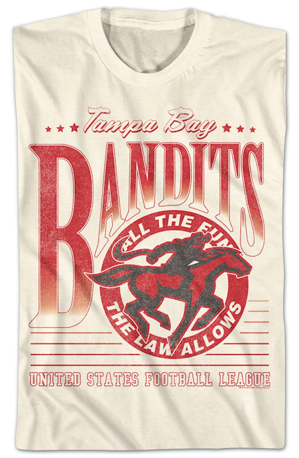 All The Fun Law Allows Tampa Bay Bandits USFL T-Shirt product image 2