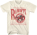 All The Fun Law Allows Tampa Bay Bandits USFL T-Shirt product image 1