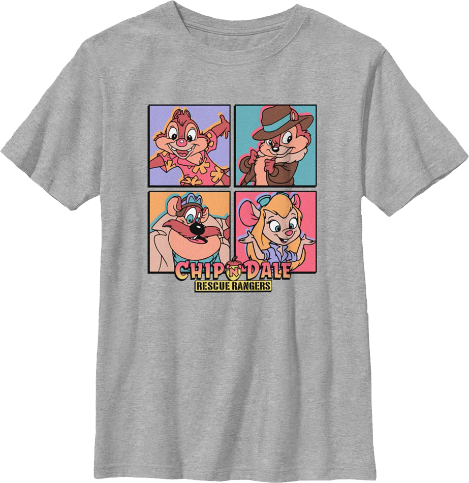 Boys Youth Character Squares Chip 'n Dale Rescue Rangers product image 1