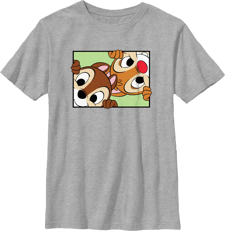 Boys Youth Peek-a-Boo Chip 'n Dale Rescue Rangers Shirt product image 1