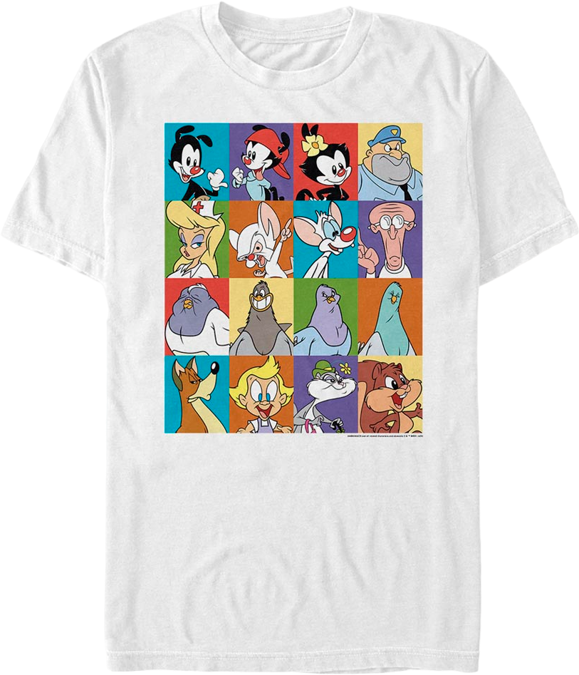 White Classic Character Blocks Animaniacs T-Shirt product image 1