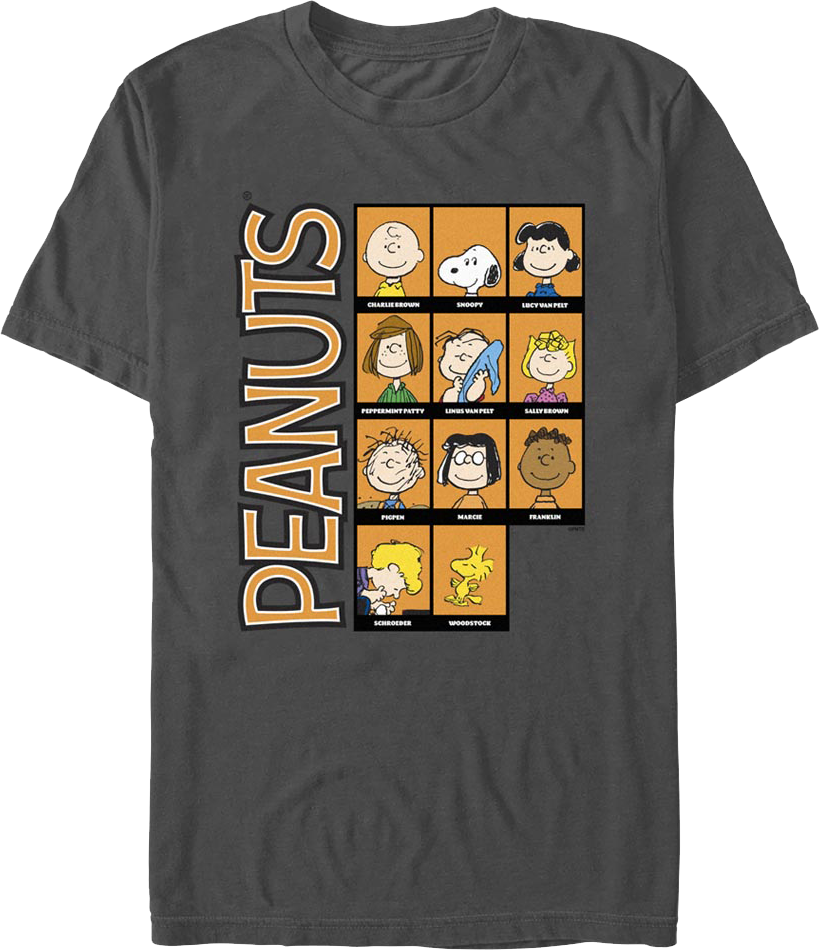 Classic Character Blocks Peanuts T-Shirt product image 1