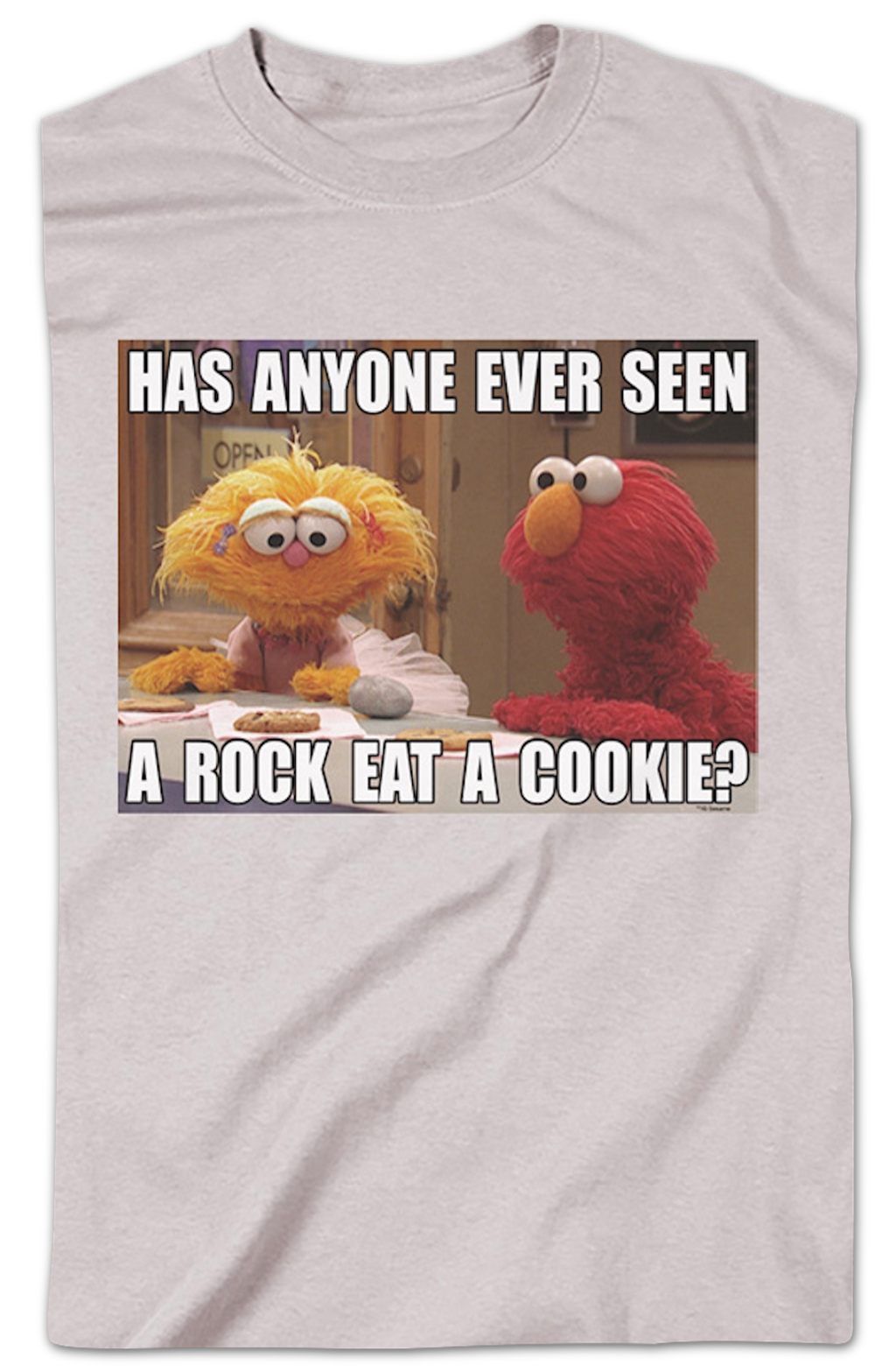 Has Anyone Ever Seen A Rock Eat A Cookie Sesame Street product image 2