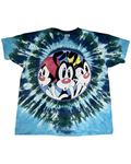 Vintage 90s Animaniacs Tie Dye Tee product image 1
