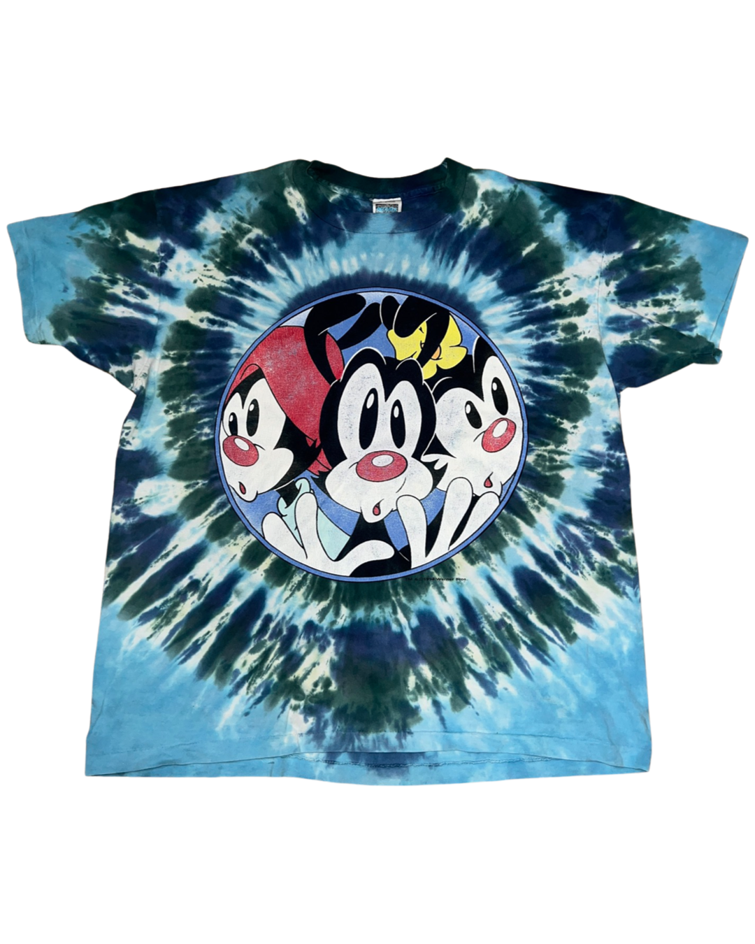 Vintage 90s Animaniacs Tie Dye Tee product image 1