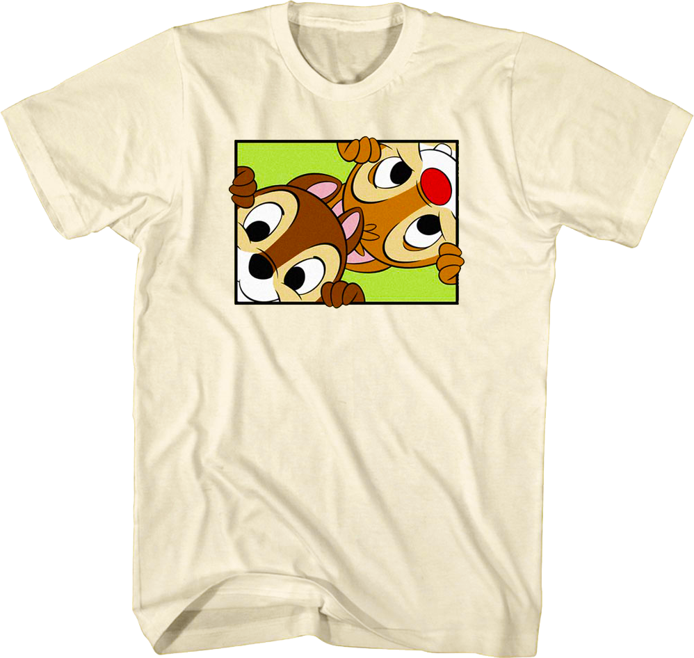 Peek-a-Boo Chip 'n Dale Rescue Rangers T-Shirt product image 1