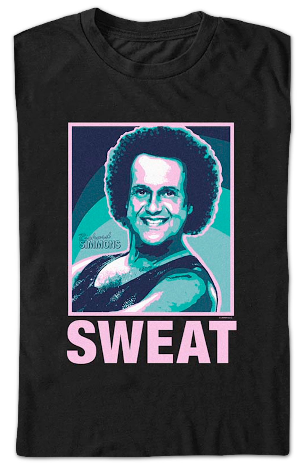 Sweat Richard Simmons T-Shirt product image 2