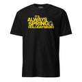 It's Always Spring in Hollidaysburg | T-Shirt product image 1