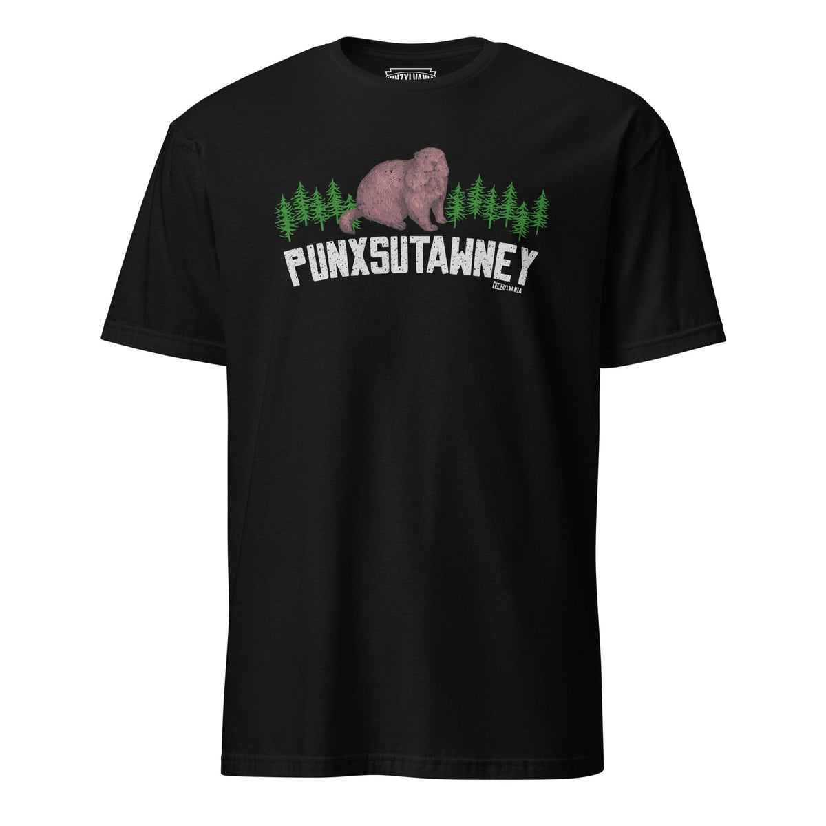 Punxsutawney | T-Shirt product image 3