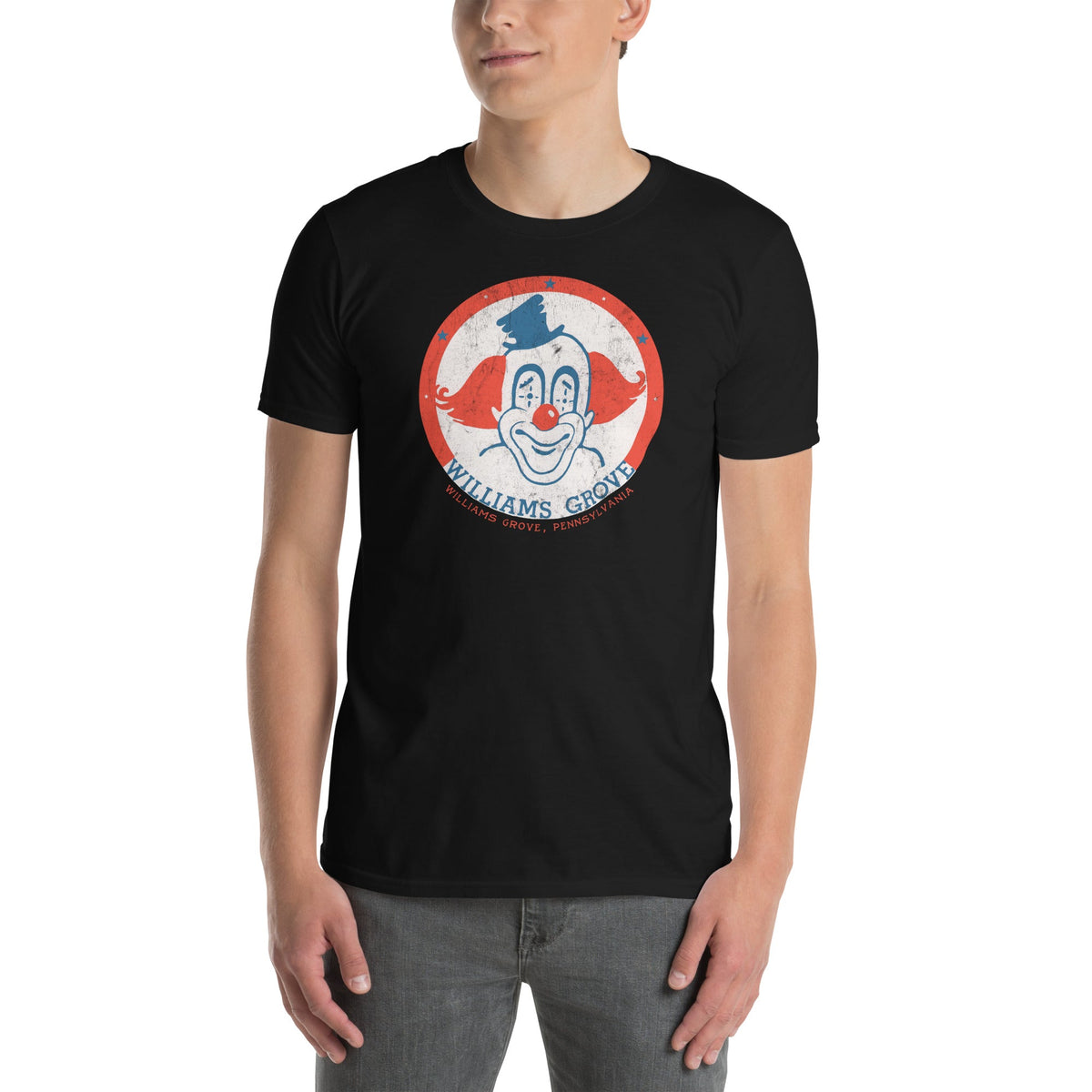 Williams Grove Amusement Park | T-Shirt product image 5