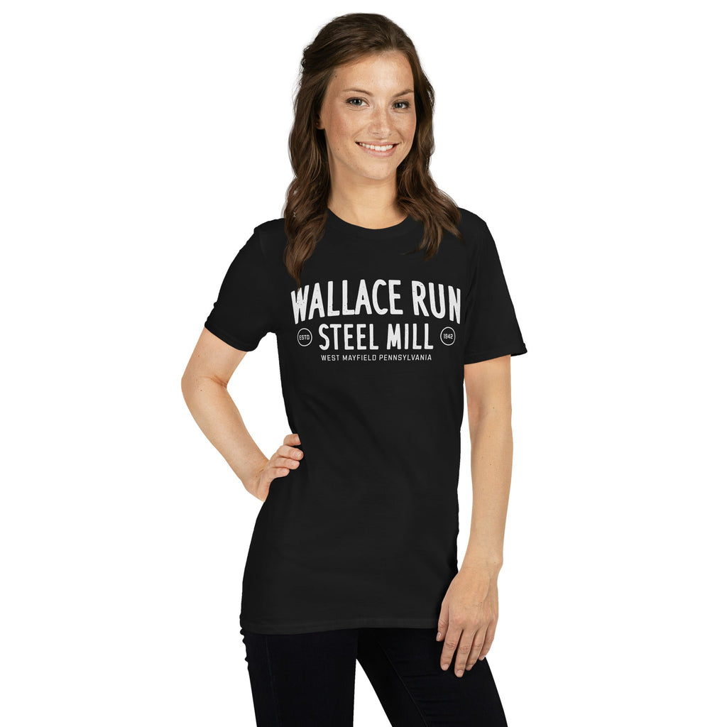 Wallace Run Steel Mill - West Mayfield - Beaver County product image 7