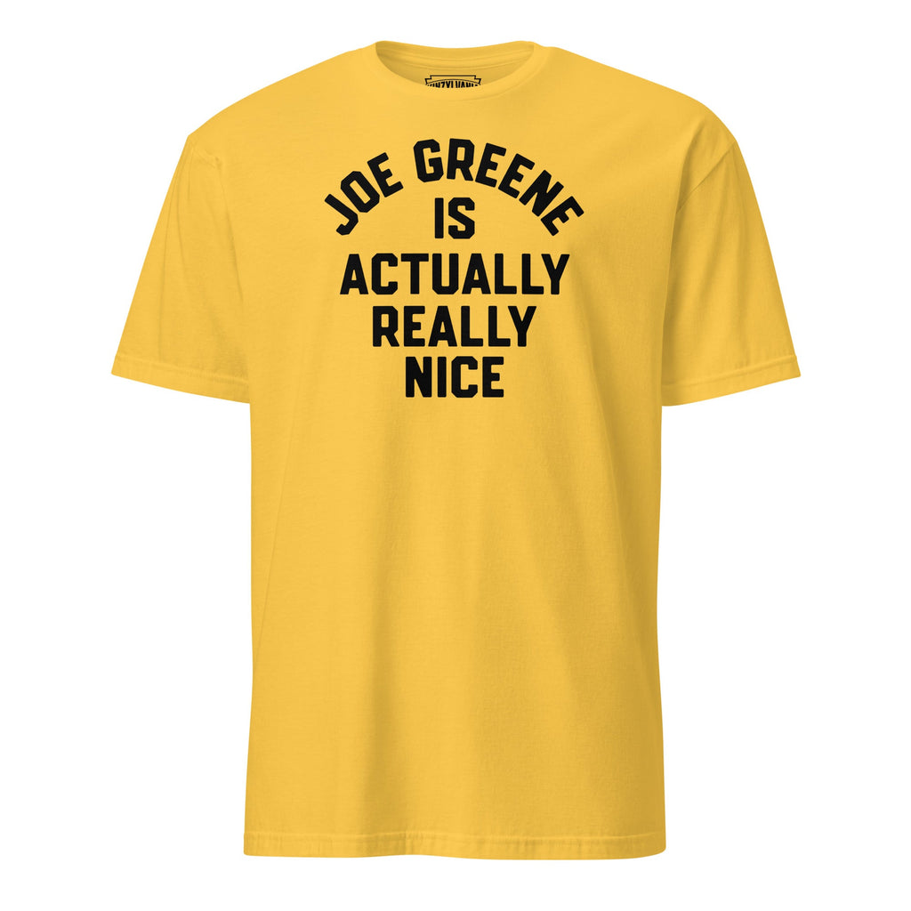 Joe Greene is Actually Really Nice | T-Shirt product image 4