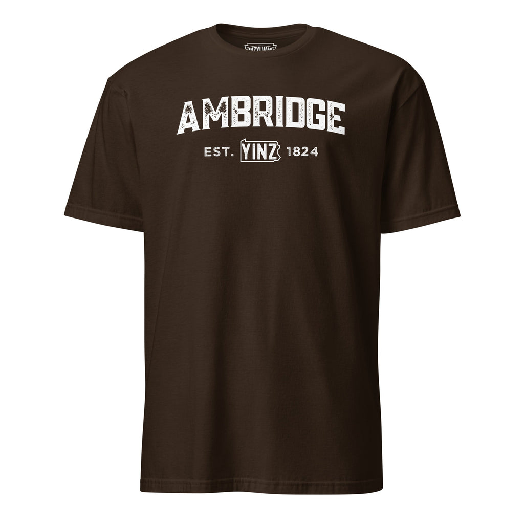 Ambridge Yinzylvania | T-Shirt product image 1