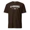 Ambridge Yinzylvania | T-Shirt product image 1