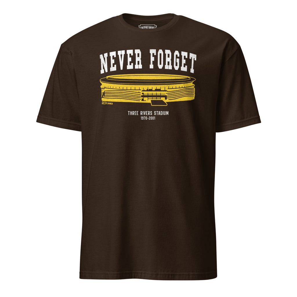 Never Forget - Three Rivers Stadium | T-Shirt product image 2