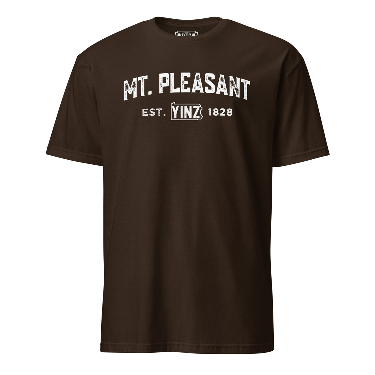 Mt. Pleasant Yinzylvania | T-Shirt product image 2