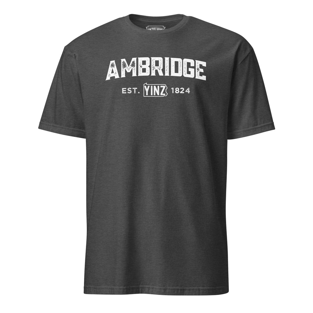 Ambridge Yinzylvania | T-Shirt product image 6