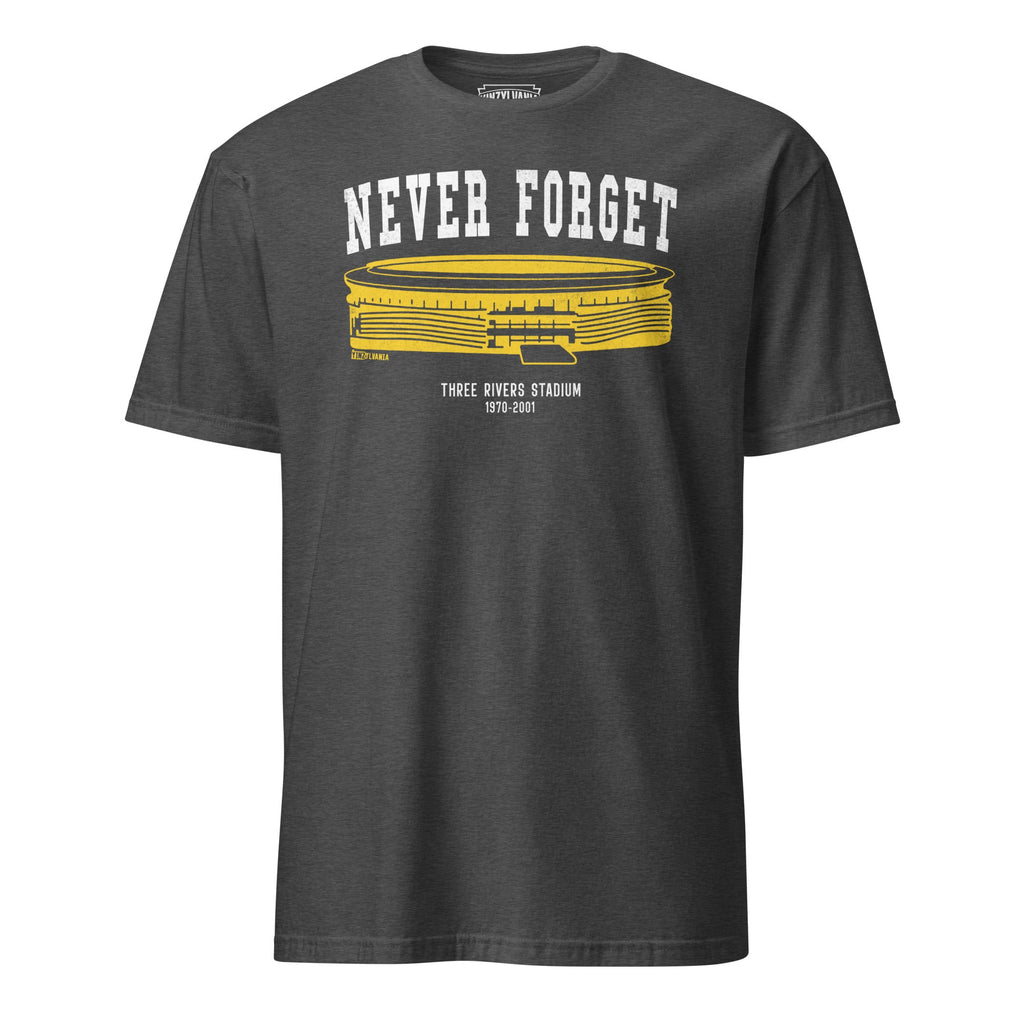 Never Forget - Three Rivers Stadium | T-Shirt product image 4