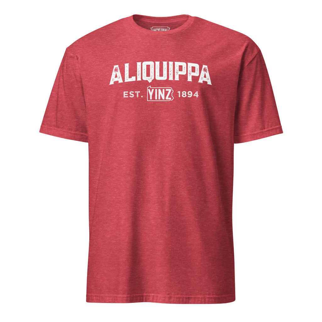 Aliquippa Yinzylvania | T-Shirt product image 4
