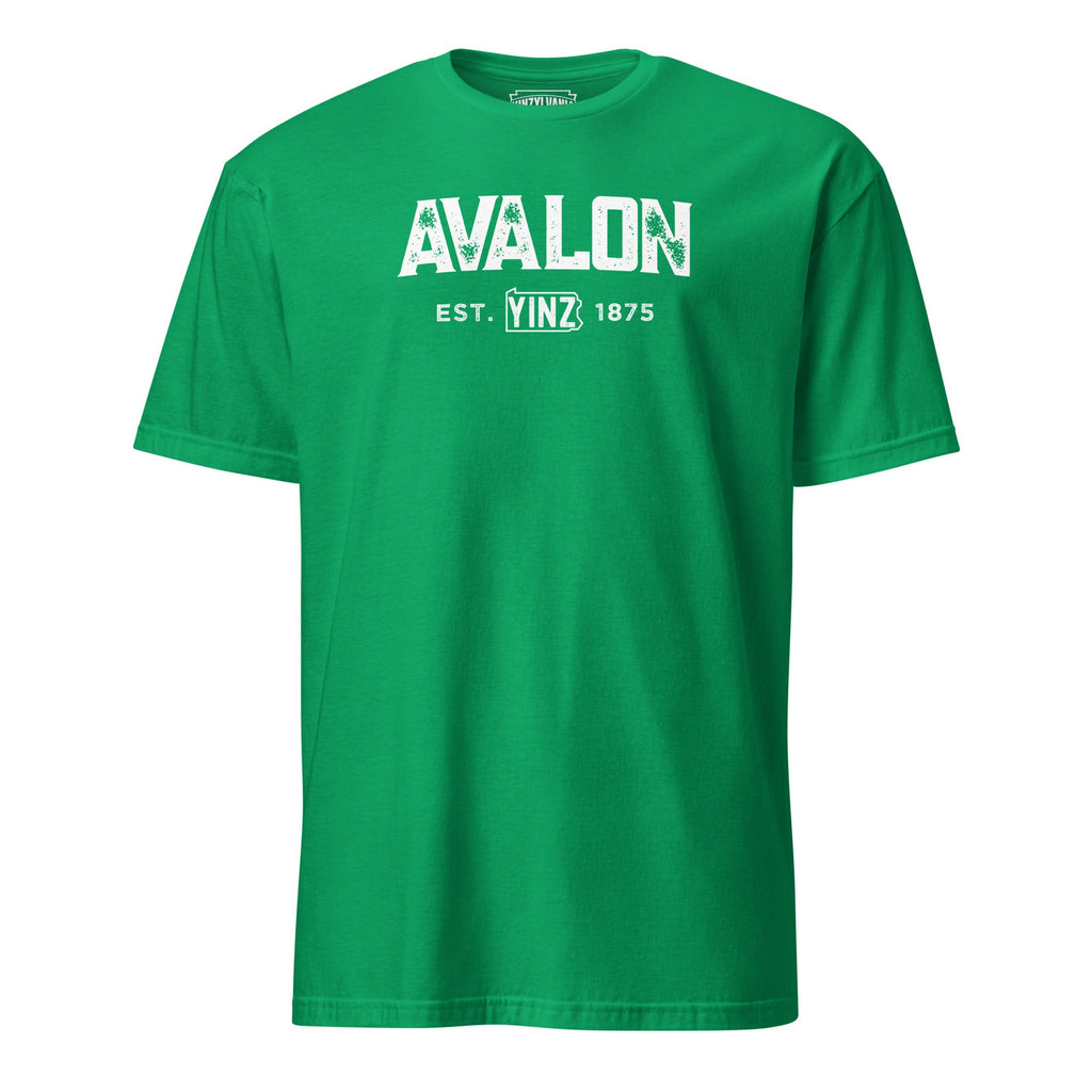Avalon Yinzylvania | T-Shirt product image 3