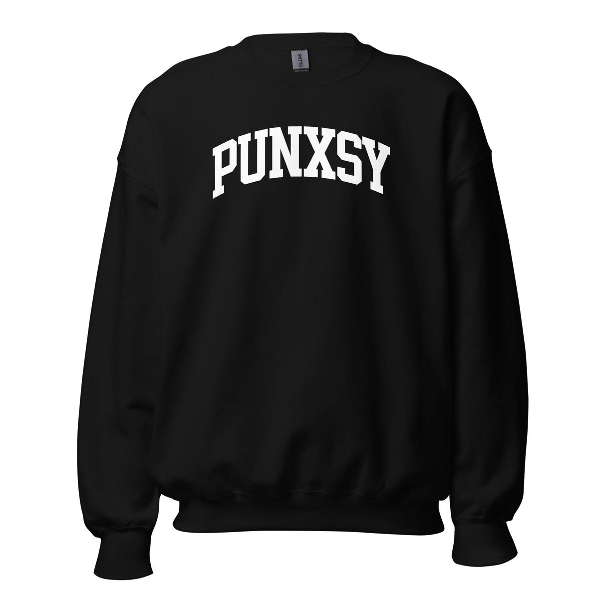 Punxsy Collegiate | Crewneck Sweatshirt product image 3