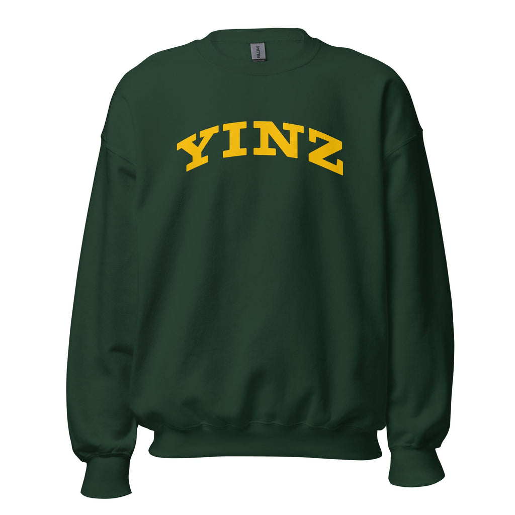 YINZ - Collegiate | Crewneck Sweatshirt product image 4