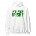 Yinz Irish? | Hoodie product image 1
