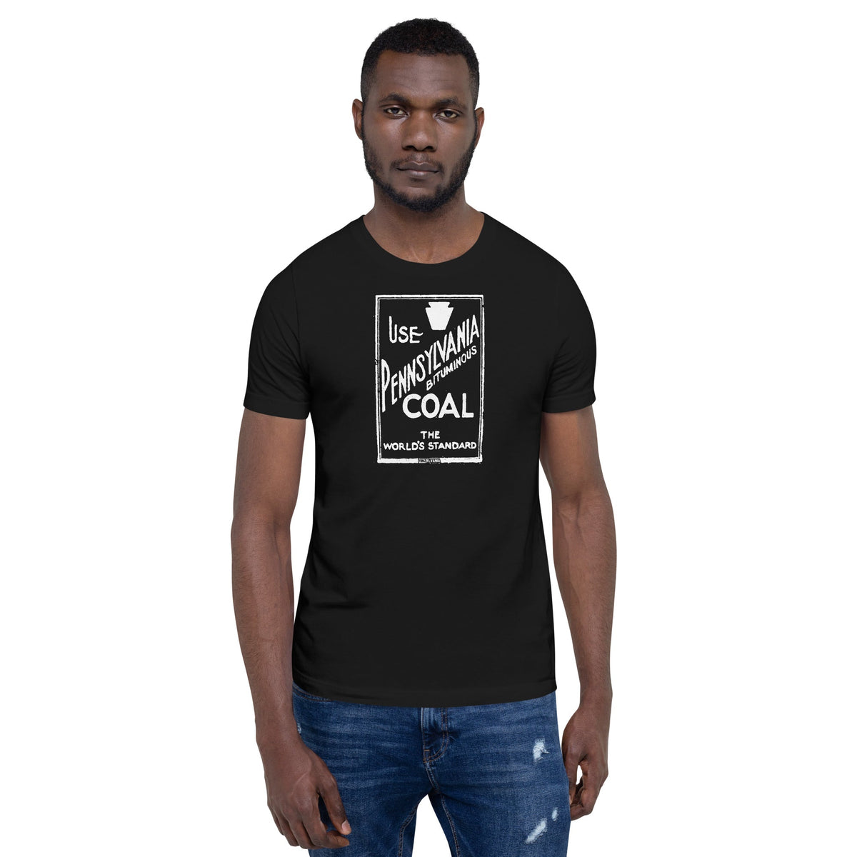 Pennsylvania Bituminous Coal | Comfort Colors Tee product image 6